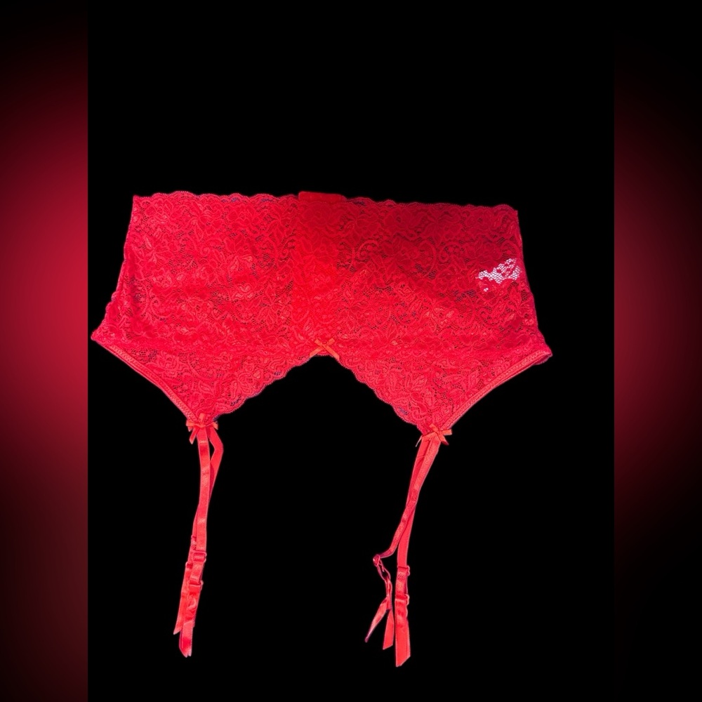 NWOT Red Lace Plus Size Garter Size 20